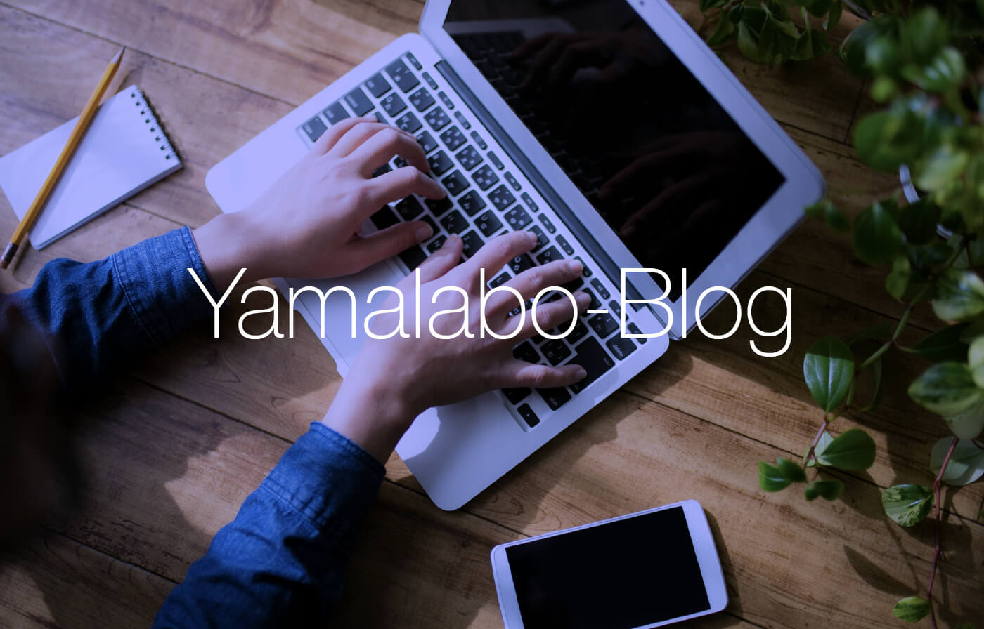 Yamalabo-Blog｜University of Tsukuba Yamamoto・Yamagishi Group