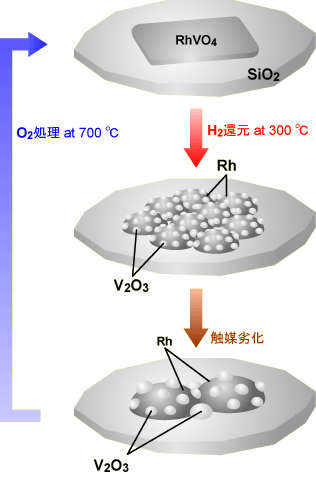 Rh_