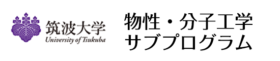 筑波大学 物性・分子工学サブプログラム