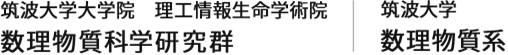 筑波大学数理物質系