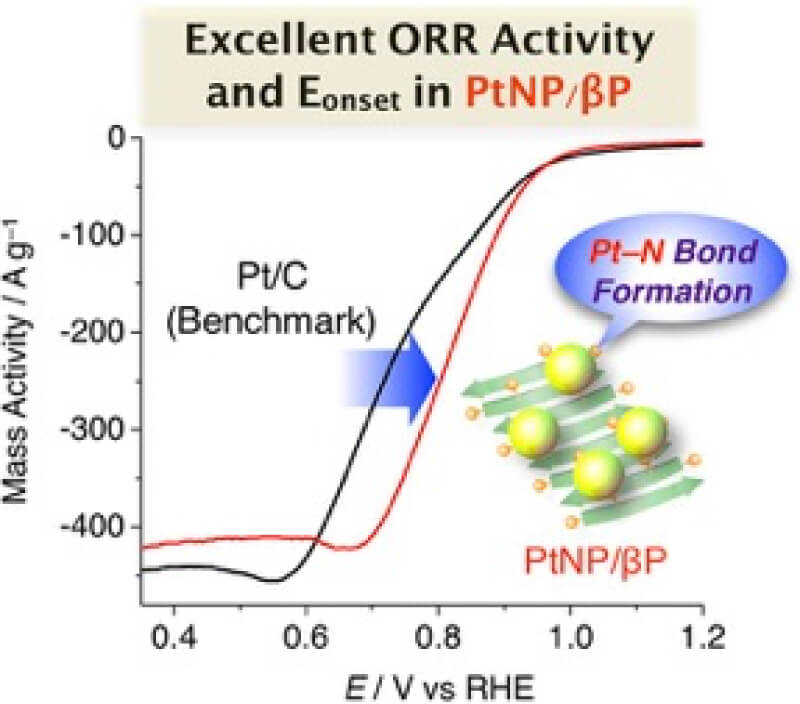 最近の発表論文｜Research & Achievements｜University of Tsukuba Yamamoto・Yamagishi Group