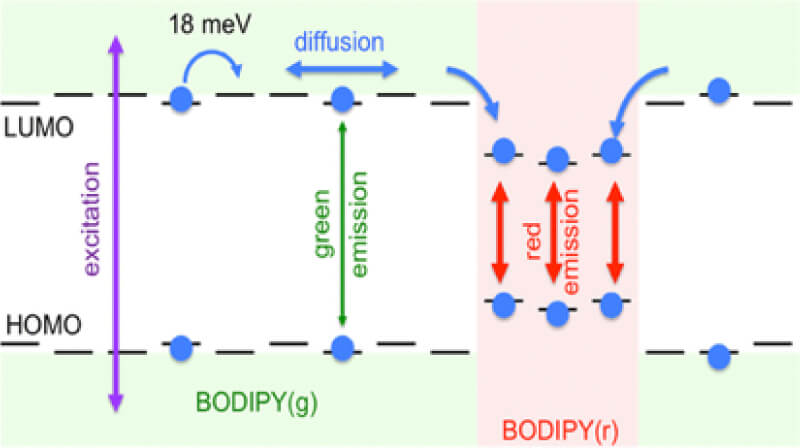 最近の発表論文｜Research & Achievements｜University of Tsukuba Yamamoto・Yamagishi Group