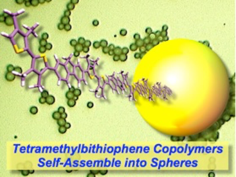 最近の発表論文|Research & Achievements|University of Tsukuba Yamamoto・Yamagishi Group