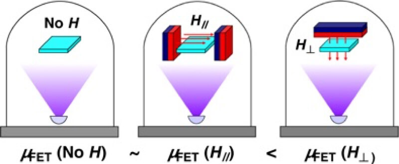 最近の発表論文|Research & Achievements|University of Tsukuba Yamamoto・Yamagishi Group