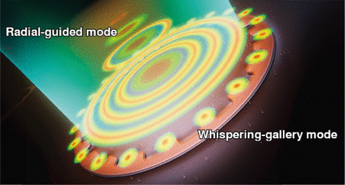 最近の発表論文｜研究と業績｜筑波大学 山本・山岸研究室