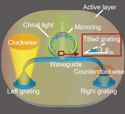 最近の発表論文｜研究と業績｜筑波大学 山本・山岸研究室