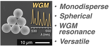 最近の発表論文｜研究と業績｜筑波大学 山本・山岸研究室