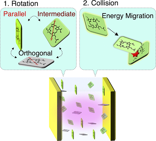 最近の発表論文｜研究と業績｜筑波大学 山本・山岸研究室