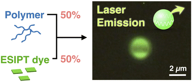 最近の発表論文｜研究と業績｜筑波大学 山本・山岸研究室