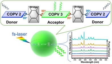 最近の発表論文｜研究と業績｜筑波大学 山本・山岸研究室