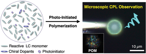 最近の発表論文｜研究と業績｜筑波大学 山本・山岸研究室