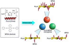 最近の発表論文｜研究と業績｜筑波大学 山本・山岸研究室