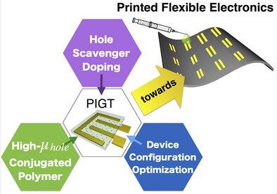最近の発表論文｜研究と業績｜筑波大学 山本・山岸研究室